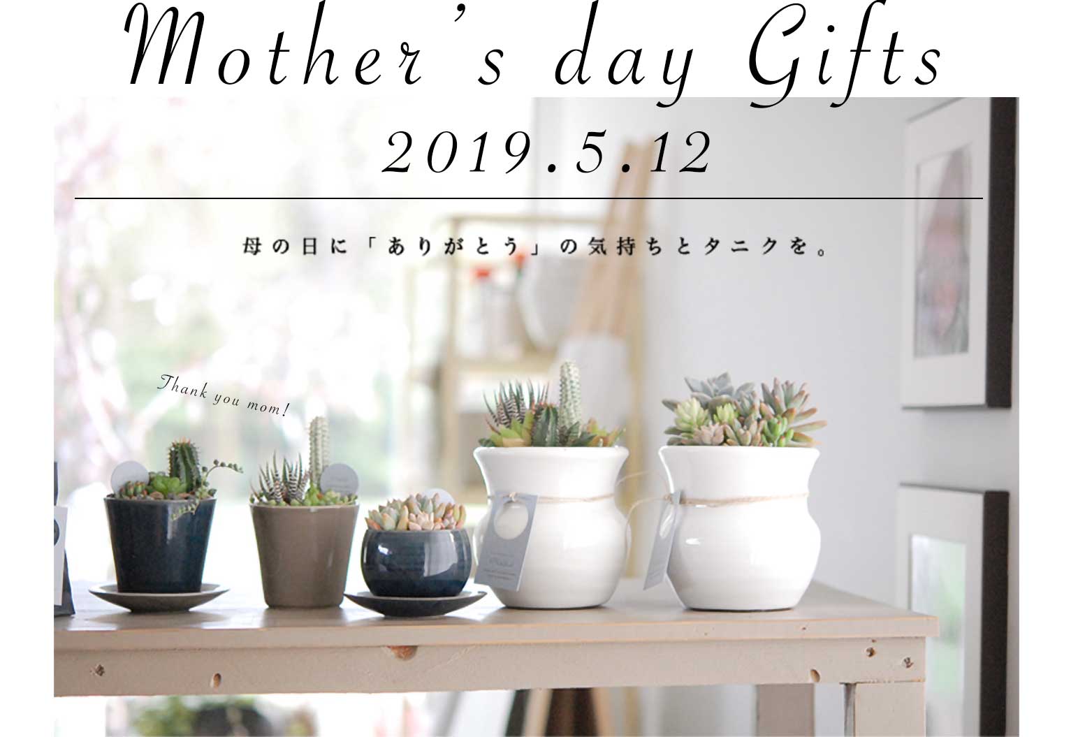 mother's day gift 2019.5.12 ˤ꤬Ȥεȥ˥ ¿ʪܥƥ祹ȥ solxsolե