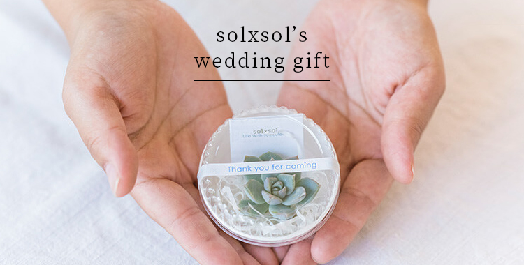 solxsol's wedding gift